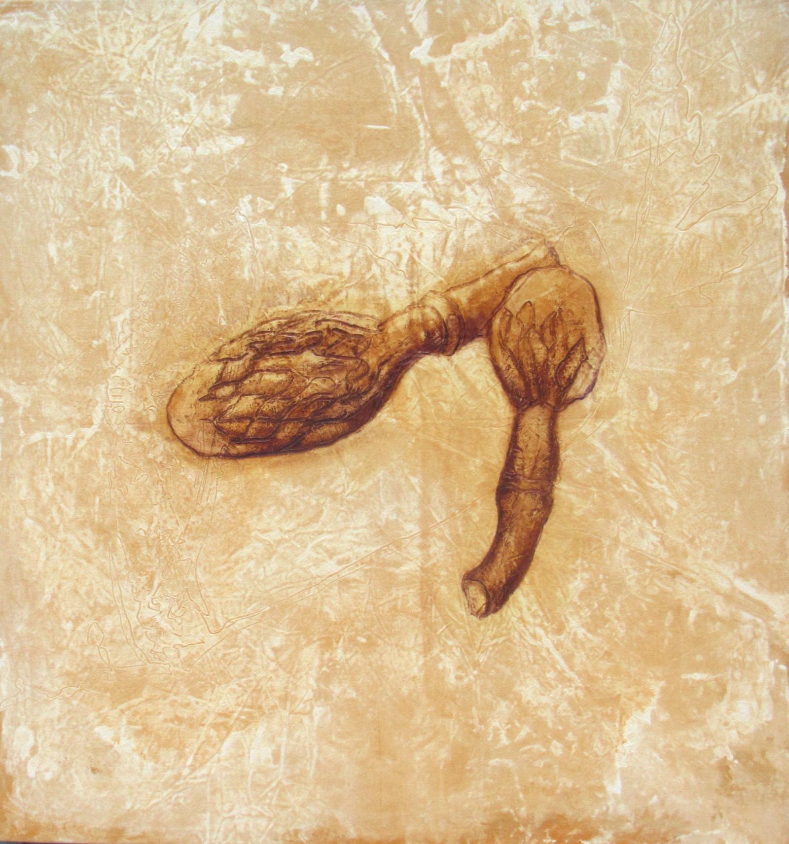 2 magnolia pods