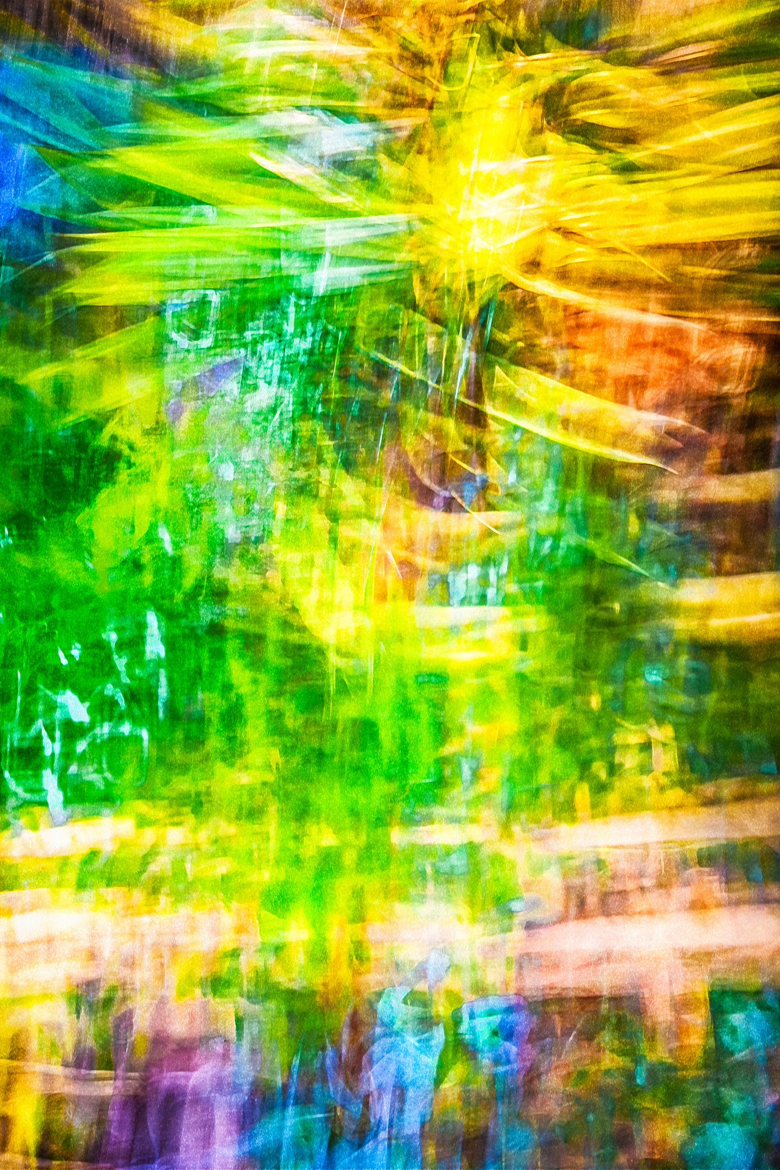From my Amped-Up portfolio, this large-scale photograph is a response to the accelerated pace of modern life, my life. By moving my camera at time of image capture, I am no longer a passive recorder of found compositions. My movement capture enables me to enliven and abstract my photographs and allows me to incorporate my own physical response into the photograph. When I photograph, I become a performance artist, a choreographer, a painter, and a creator in the photographic realm.
In this photograph, Flaxen Flare, camera movement fuses all the colors and textures of the real world and creates an abstract composition.