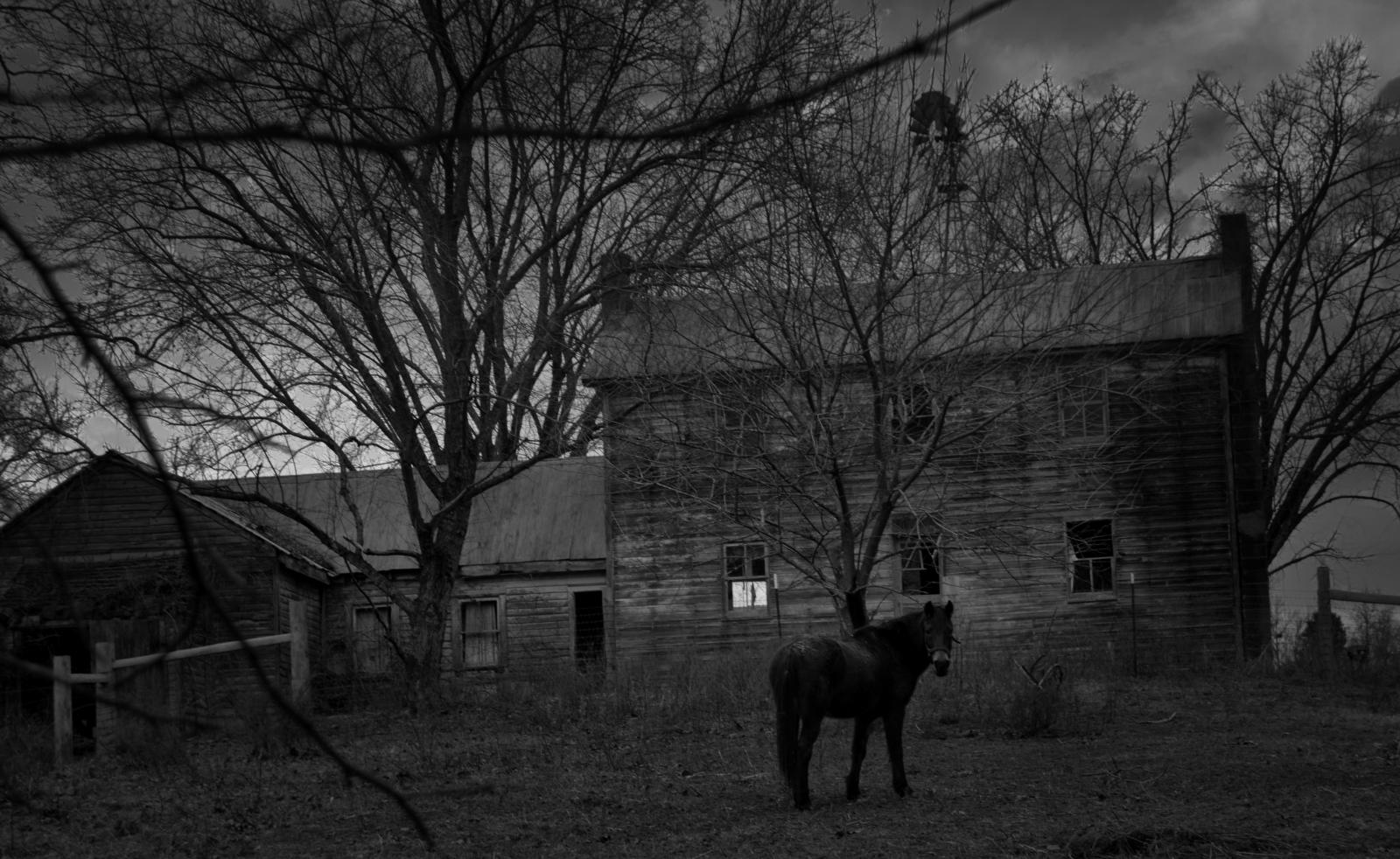 Horse in front of abandoned Amish House