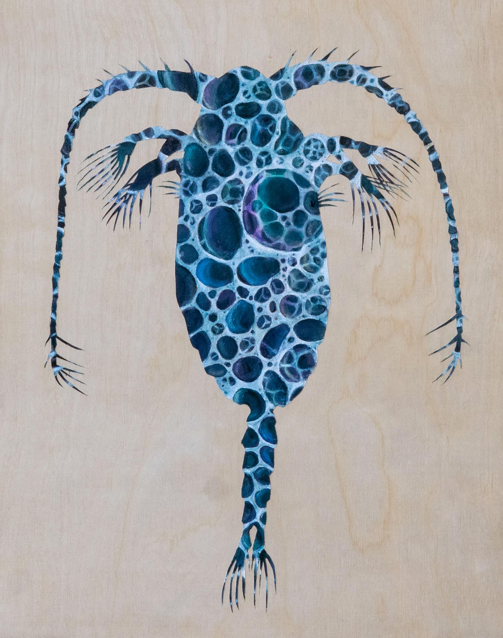 This is Calanus finmarchicus, a species of copepod (tiny marine crustacean) that is the primary food source for North Atlantic right whales. Only about 2mm long, they feed on diatoms, dinoflagellates, and other microplankton. They dwell in the North Atlantic from the Gulf of Maine to the Norwegian Sea, but can be adaptable to a wide variety of conditions; they have survived periods of climate change in the past by migrating and overwintering in deeper waters. Their biomass in the North Sea has declined by 70% since 1960. Scientists may be able to better understand some of the current changes in climate by tracking shifts in copepod populations’ distribution over time.
I was inspired to create a series of paintings exploring the complex web of relationships in the ocean after attending a lecture by environmental artist Stacy Levy. Water has unique properties that make it the fundamental source of life on Earth, and through my paintings I explore how it looks, how it moves, and the complex ways in which it connects our world.