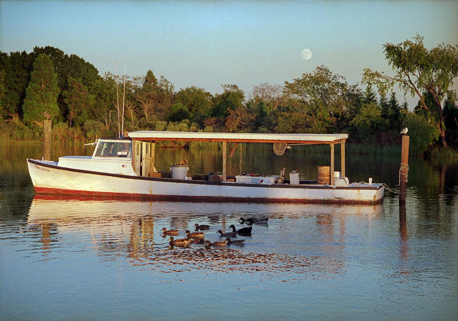 A crab boat at rest with ducks and a moon rising on Shipping Creek, Kent Island.