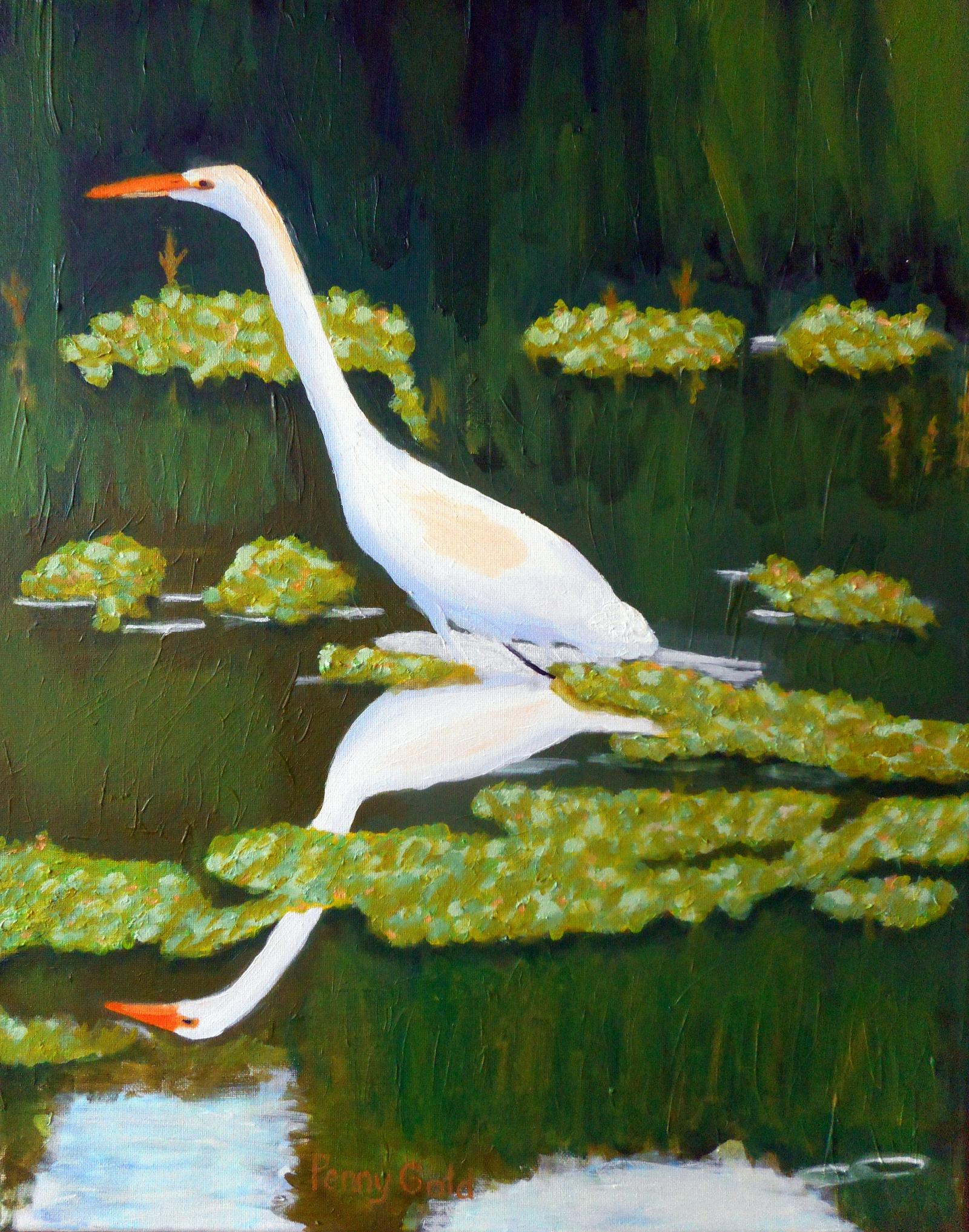 Great White Heron hunting in the early morning light, in a pond.