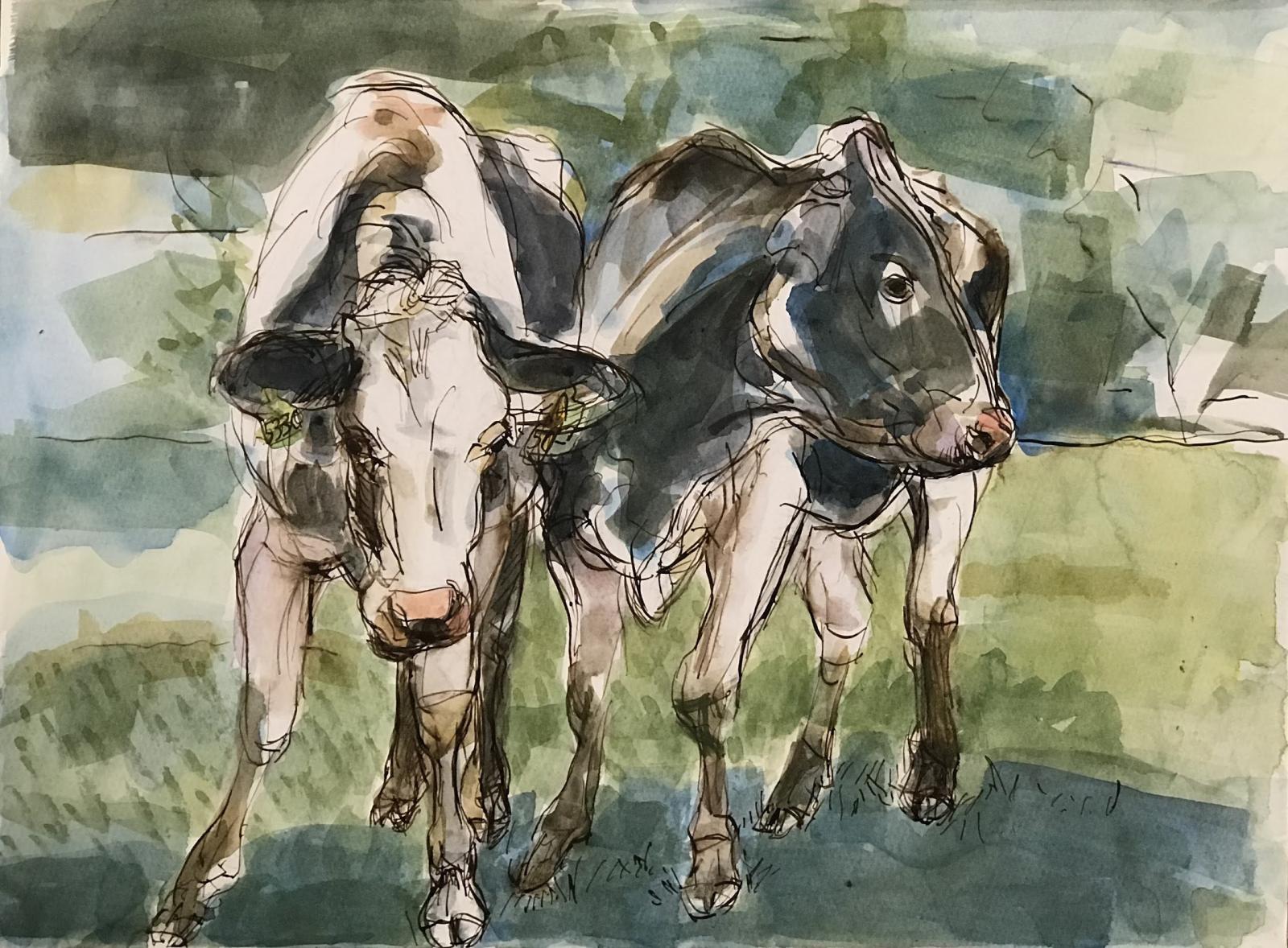 Maryland cow painting, drawing,