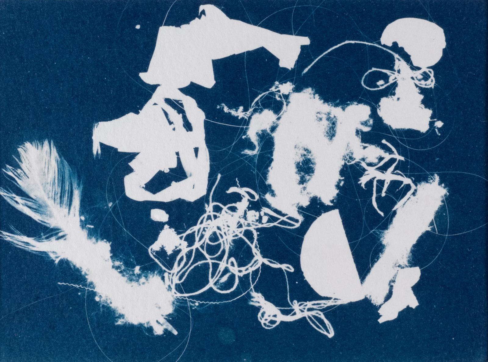 Artifact series: Versailles, France, 6/16. The  Artifact series is a collection of photogram images utilizing small litter found at various tourist locations. Cyanotype photograph.