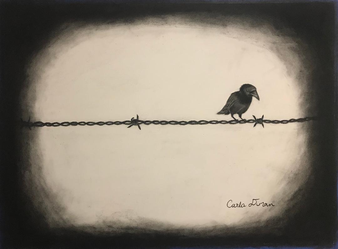 The bird is alone on the barbed wire, the barbed wire you cannot leave or enter. I tried to make the picture look like its a scene from a time far back when there was no color for pictures yet. I went to Israel and read books on the Holocaust. It was a very sad and depressing time for all. There's times where people feel that way still, so I wanted to put myself as an example of feeling alone and no one can understand because they are not on top of the barbed wire. It hurts to get on the barbed wire, you can get cuts, but there is healing, and you know that this scene will pass.