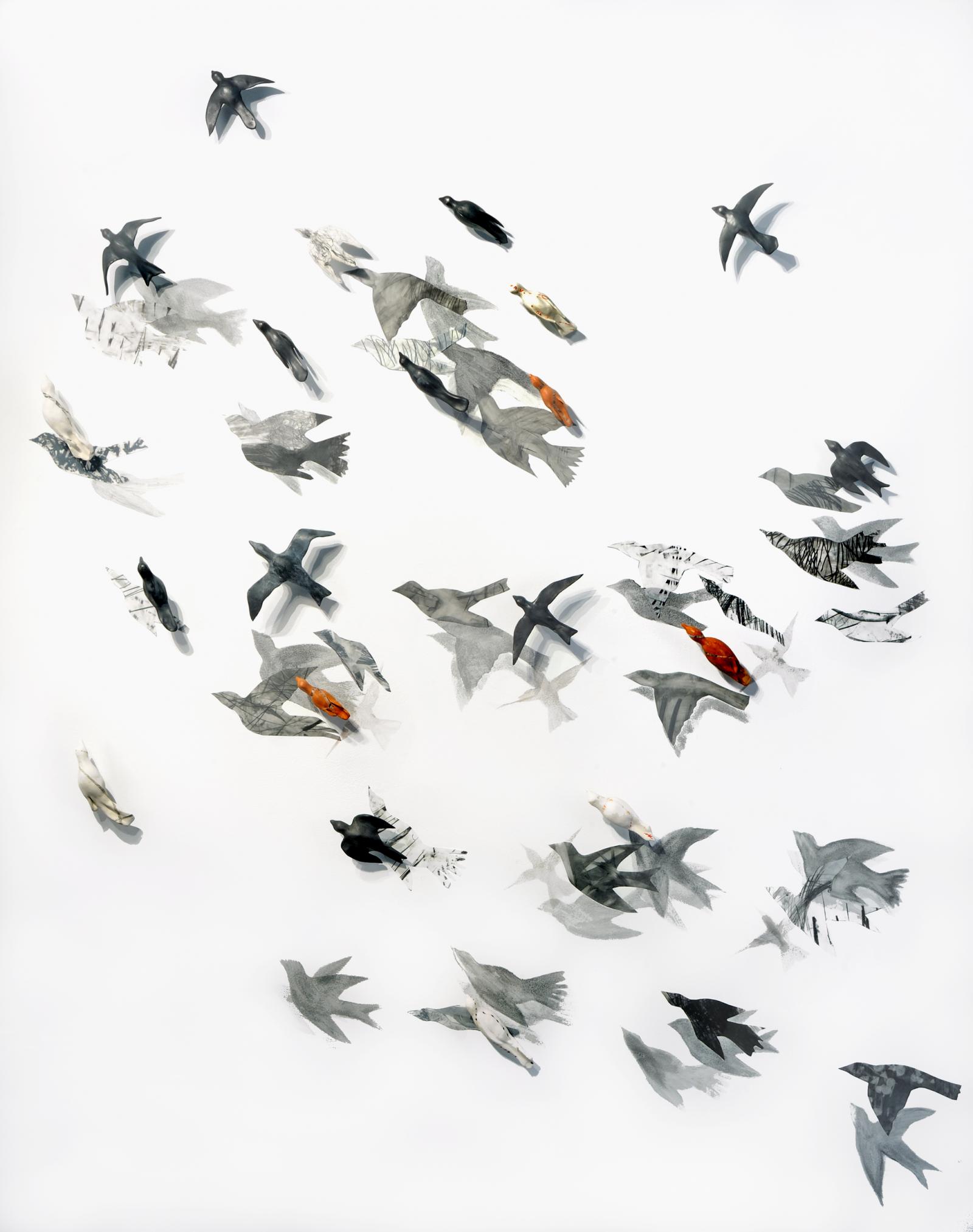 wall installation comprised of graphite wall drawings, stenciled silhouettes , 3-D clay birds.