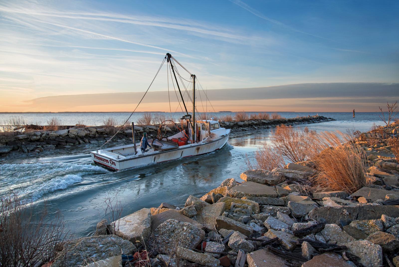 A waterman headed out to dredge oysters on the Chesapeake.