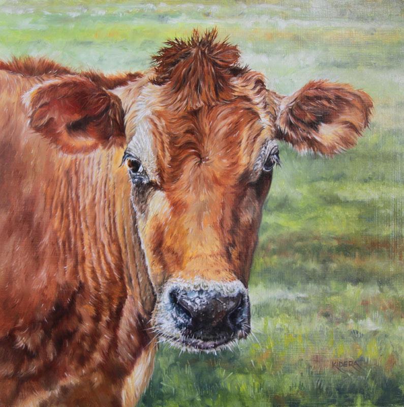 Jersey Cow