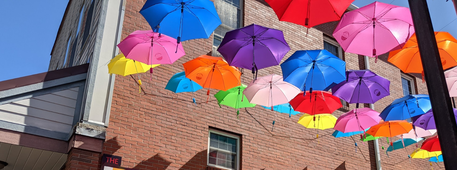 Umbrellas hang next to a brick wall.