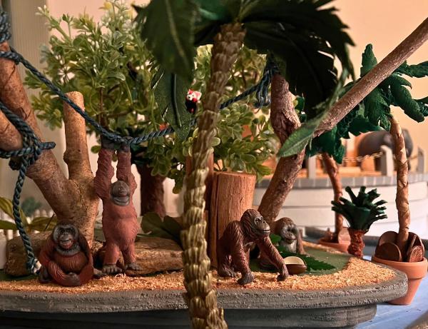 Our orangutan exhibit 