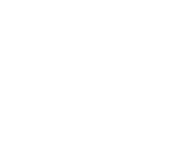 Bay Winds Band