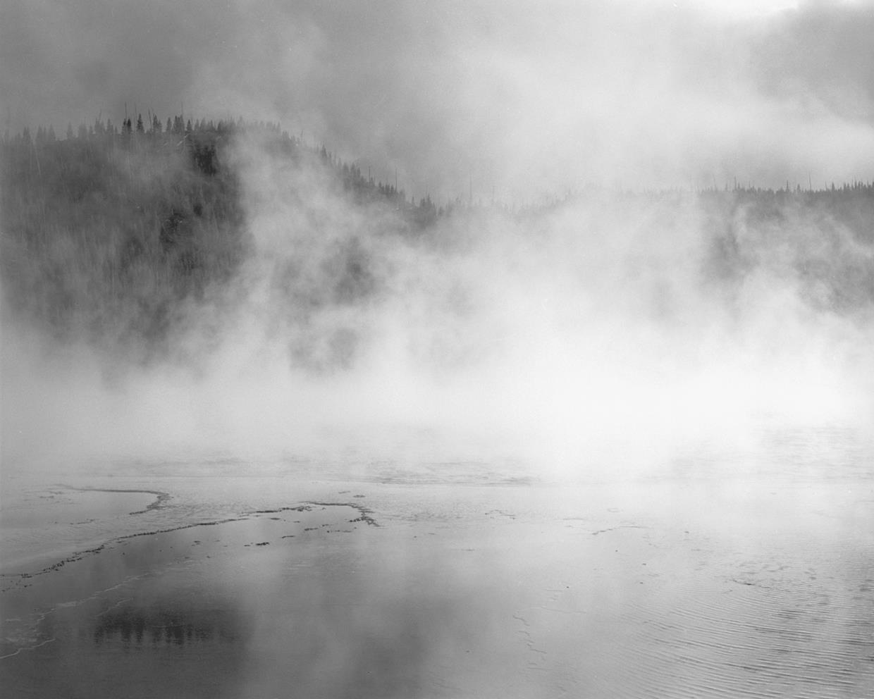 large format silver gelatin photograph