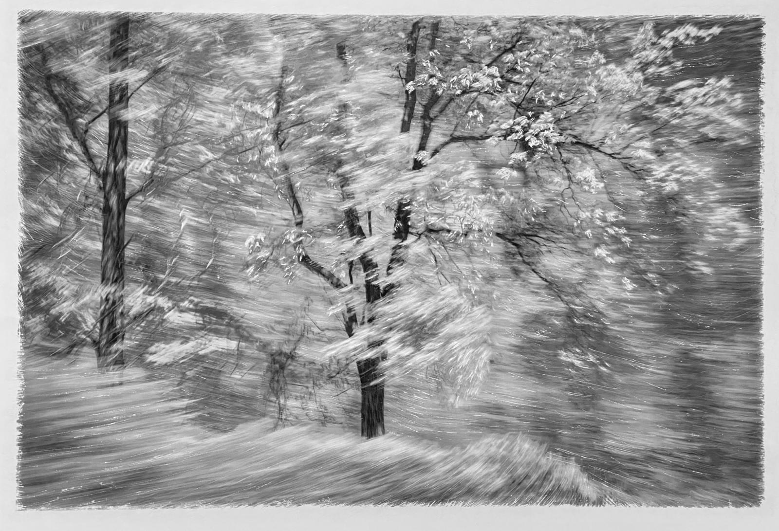 Archival digital photograph that has been scratched with sandpaper and mat knives.