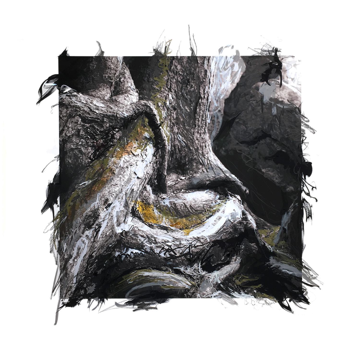 Up close photographic image of twisted tree roots at edge of water. Black and white color palette. Bold marks of value and color applied using acrylic paint, graphite, charcoal and oil pastel. Drawn and painted marks extend beyond the square hard edge of the photograph.