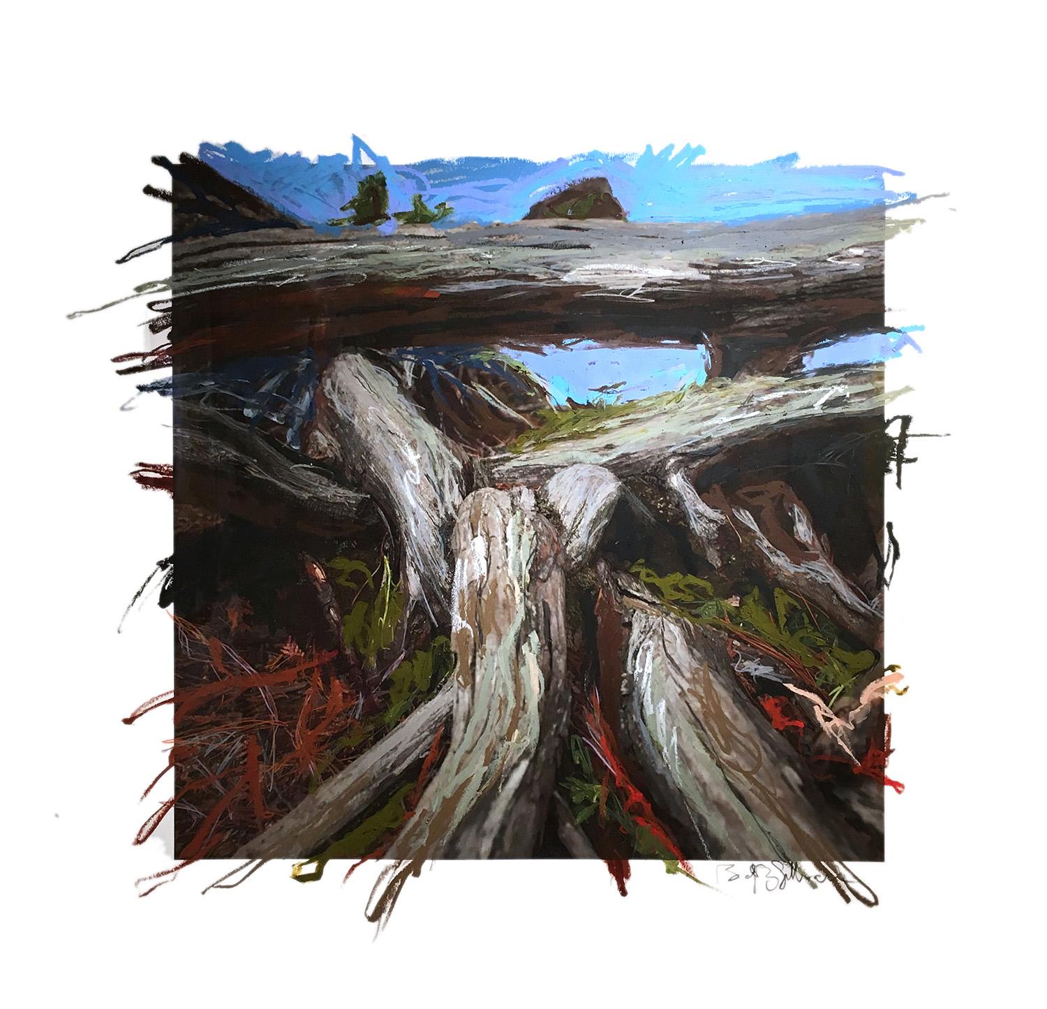 Up close photographic image of twisted tree roots at edge of water. Black and white color palette with large areas of intense blue and smaller areas of red. Bold marks of value and color applied using acrylic paint, graphite, charcoal and oil pastel. Drawn and painted marks extend beyond the square hard edge of the photograph.