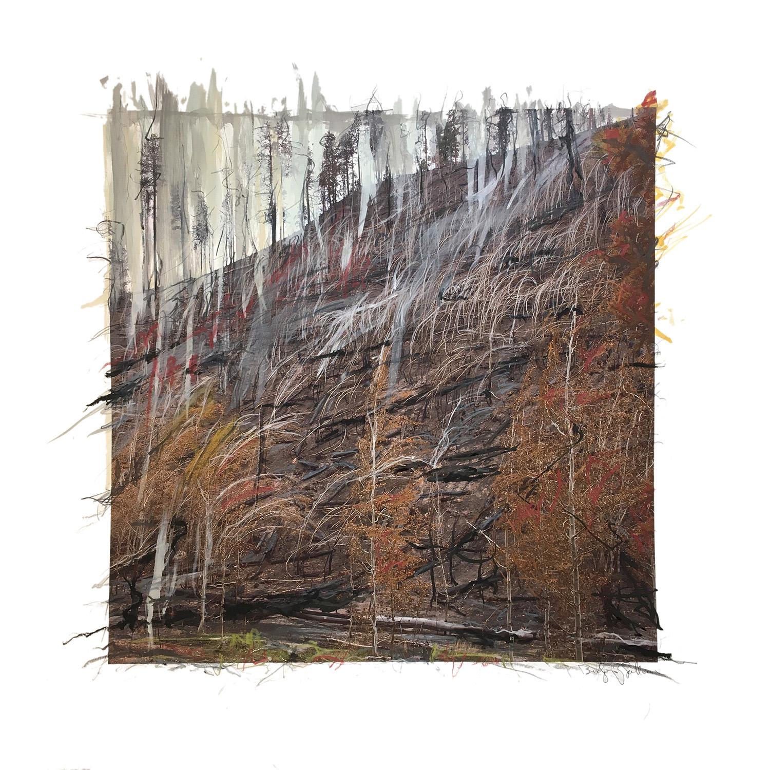 Photographic image of forest after forest fire. Neutral color palette. Barren and fallen trees on tall hillside. Bold marks of value and color applied using acrylic paint, graphite, charcoal and oil pastel. Drawn and painted marks extend beyond the square hard edge of the photograph.
