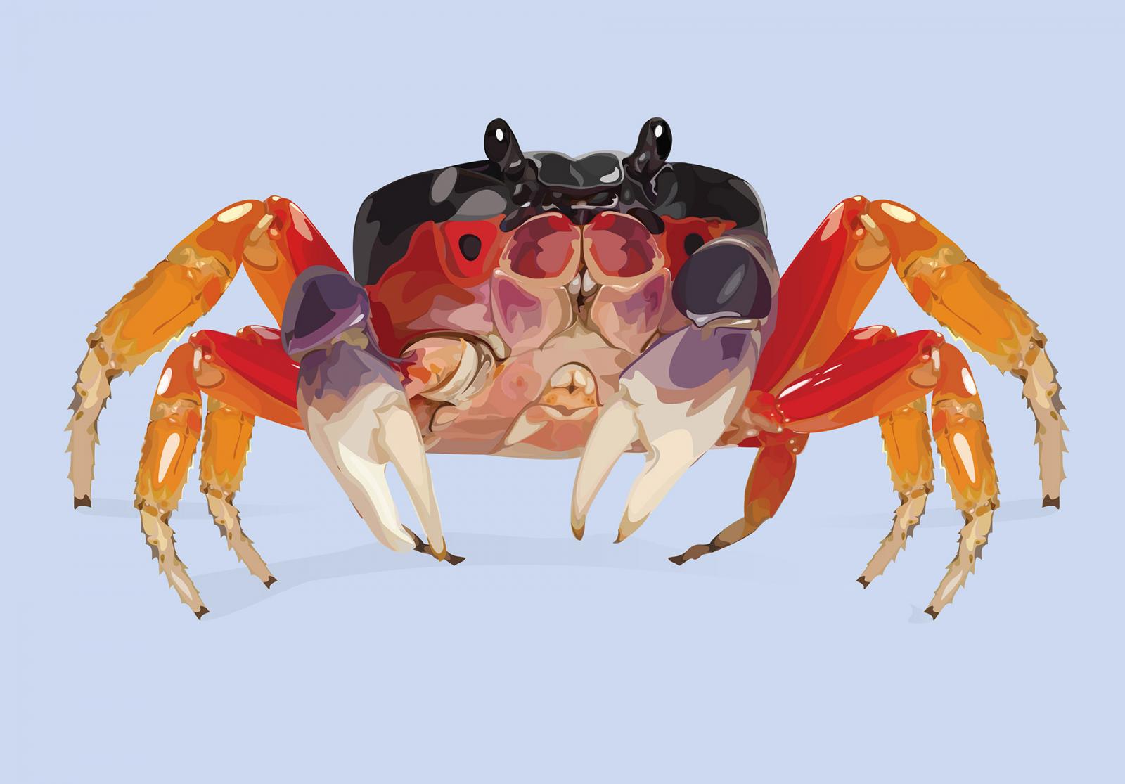 Vector illustration of a Halloween Crab