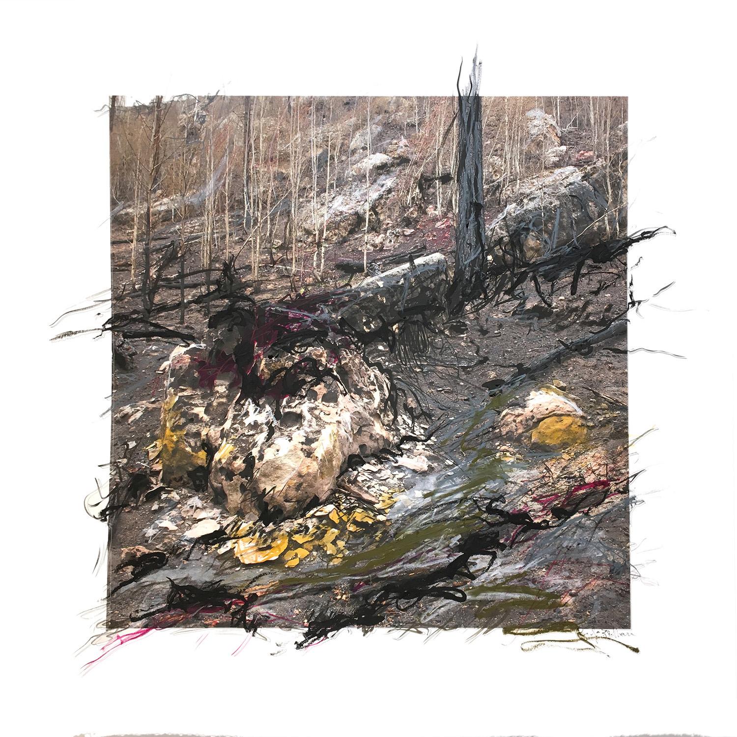 Photographic image of forest after forest fire. Neutral color palette. Barren and fallen trees on tall hillside with a large exploded bolder in foreground. Bold marks of value and color applied using acrylic paint, graphite, charcoal and oil pastel. Drawn and painted marks extend beyond the square hard edge of the photograph.
