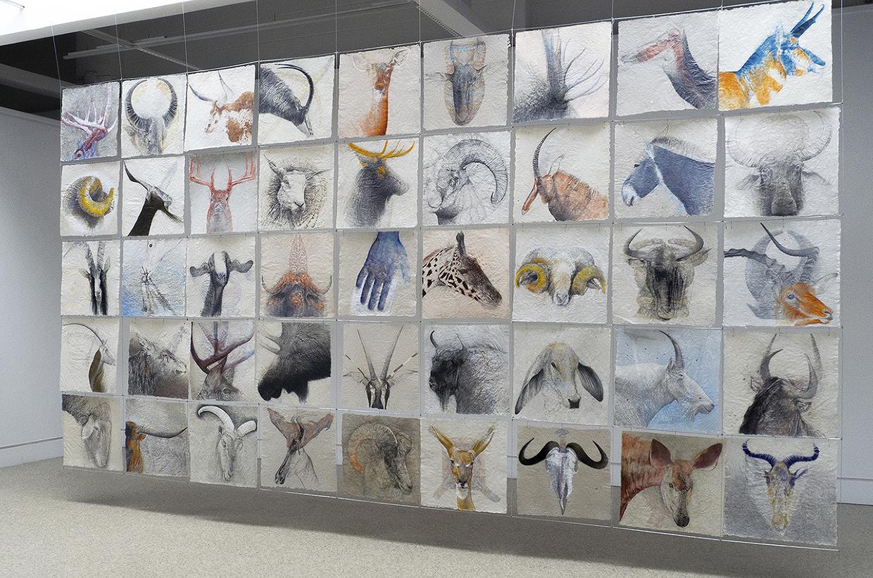Installation of 45 drawings, 17" x 17" each and drawn on both sides of translucent paper made by artist. Drawings are mounted with magnets on wire grid.