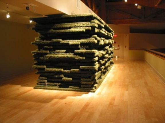 I created Habitat, a site-specific and site-responsive installation, for the Mezzanine Gallery at Appalachian State Universities Turchin Center for the Visual Arts. For this installation material, environment, form, and local ecology are united, creating an immersive experience within the gallery where sculpture and space appear to merge. Inspired by the endangered spruce-fir moss spider and its habitat, the piece draws on aspects of environmental concern as well as expresses local ecological properties.