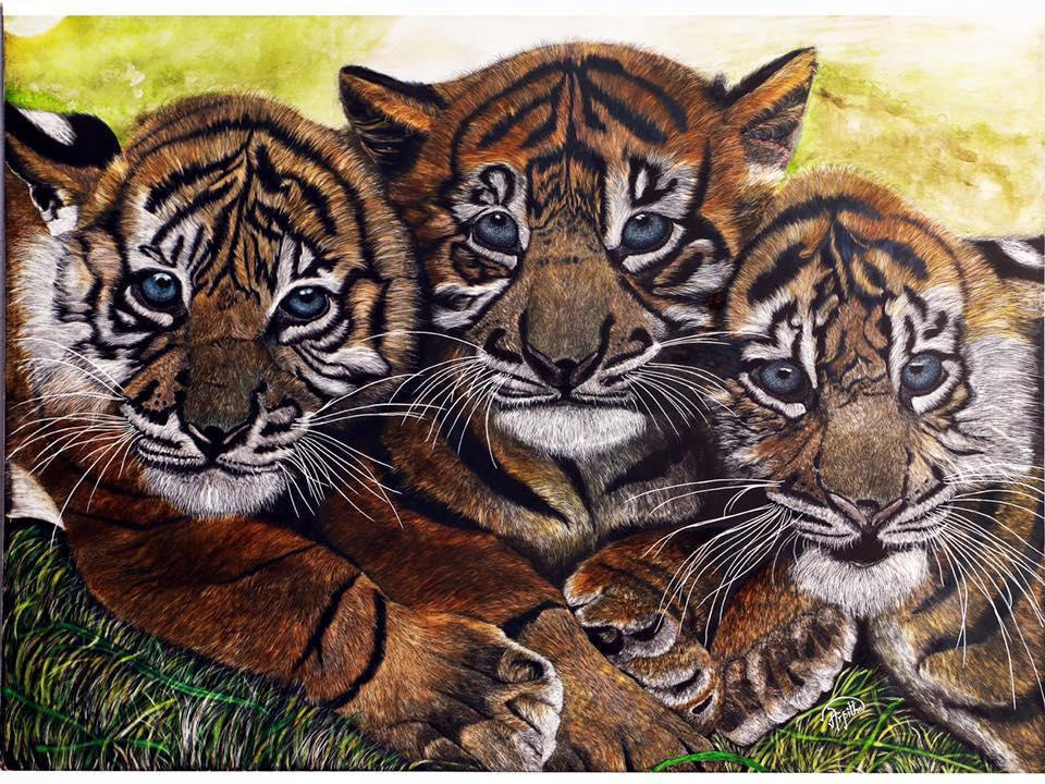 Three Musketeers- Scratchboard Art with Clayboard inks and X-Acto 11 Scalpel