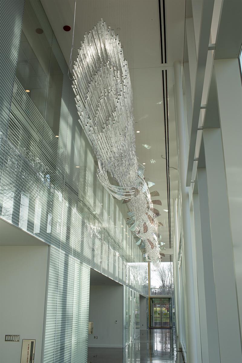 Daytime view, no illumination.
Permanent installation at the Fascitelli Center for Advanced Engineering, College of Engineering, University of Rhode Island, Kingston, Rhode Island
Commissioned by the Rhode Island State Council on the Arts and University of Rhode Island
Light Pressure is a visual narrative that conflates mechanical, electrical, and optical phenomena, specifically blending pressure and fluid dynamics with the visuality of collimated light and force fields. Traveling down the corridor, a gestural vortex gives way to a linear flow of light encircled with curving glass and planar sheets, referencing magnetic fields, turbine blades, and supercavitation.
Light Pressure is created with suspended glass rods and curved canes. The rhythmic layers of glass create varying areas of density and sparsity to form an energetic, gently curving beam as the lens-like ends catch and bend light. Light Pressure is a site specific work, appearing differently depending on the audience’s viewpoint and time of day. Hand made from clear glass with embedded mica flakes to reflect and refract light, Light Pressure is semi-transparent and sparkling. In this way, Light Pressure is a shifting spectacle, while also receding into the architecture to become almost invisible.
At night the sculpture comes alive with dynamic custom lighting. Local tide and temperature data forms a basis of the machine-learning program, creating pulsing, sweeping, and spiraling patterns of shifting chroma and luminosity across the 1600 dimensionally mapped LEDs. This light is reflected off the interior glass wall and exterior curtain wall, creating an immersive feeling of deep waves and sparkling current as light pulses travel along the length of the sculpture.
