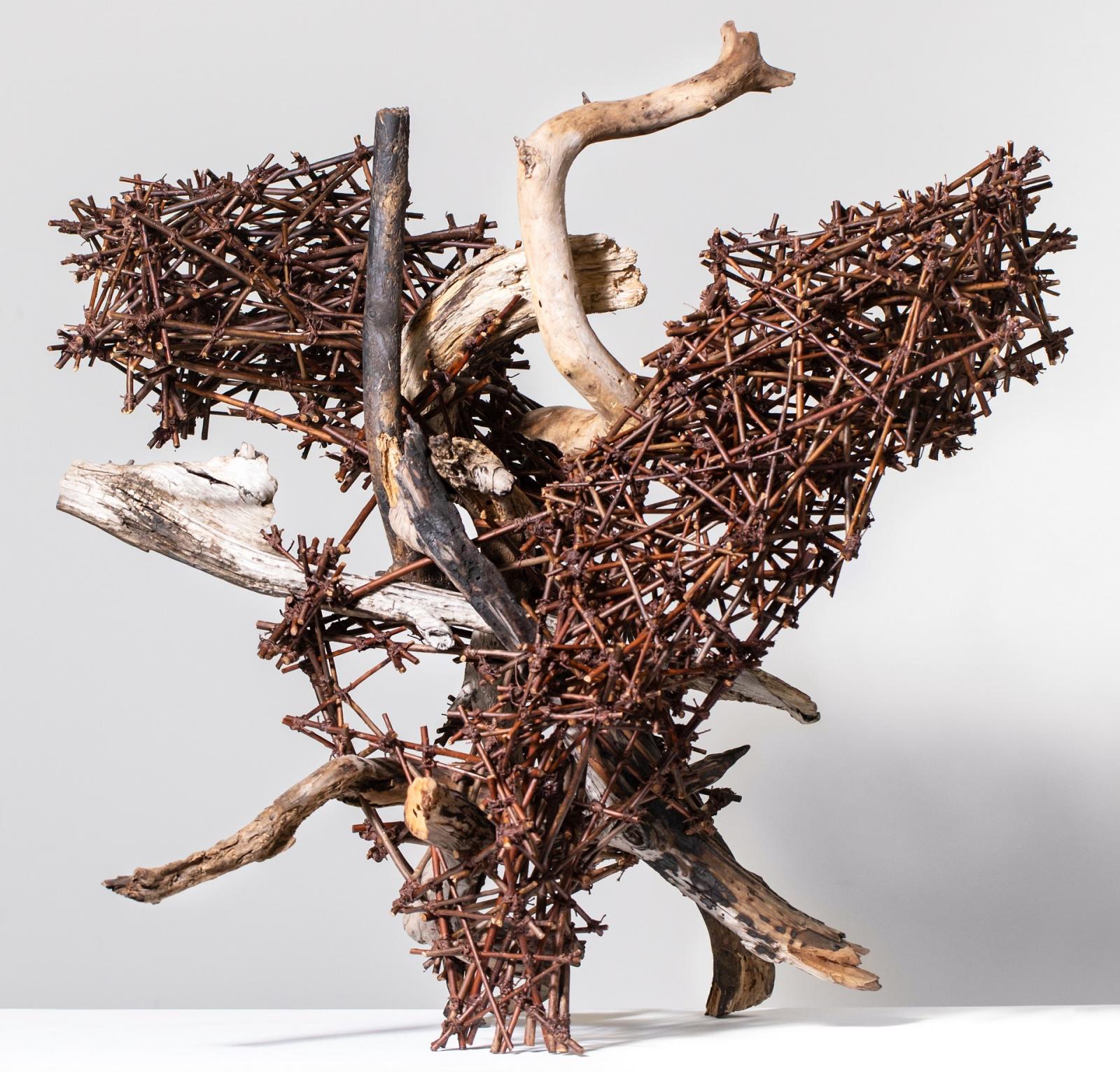 Sculpture- Pine wood, willow