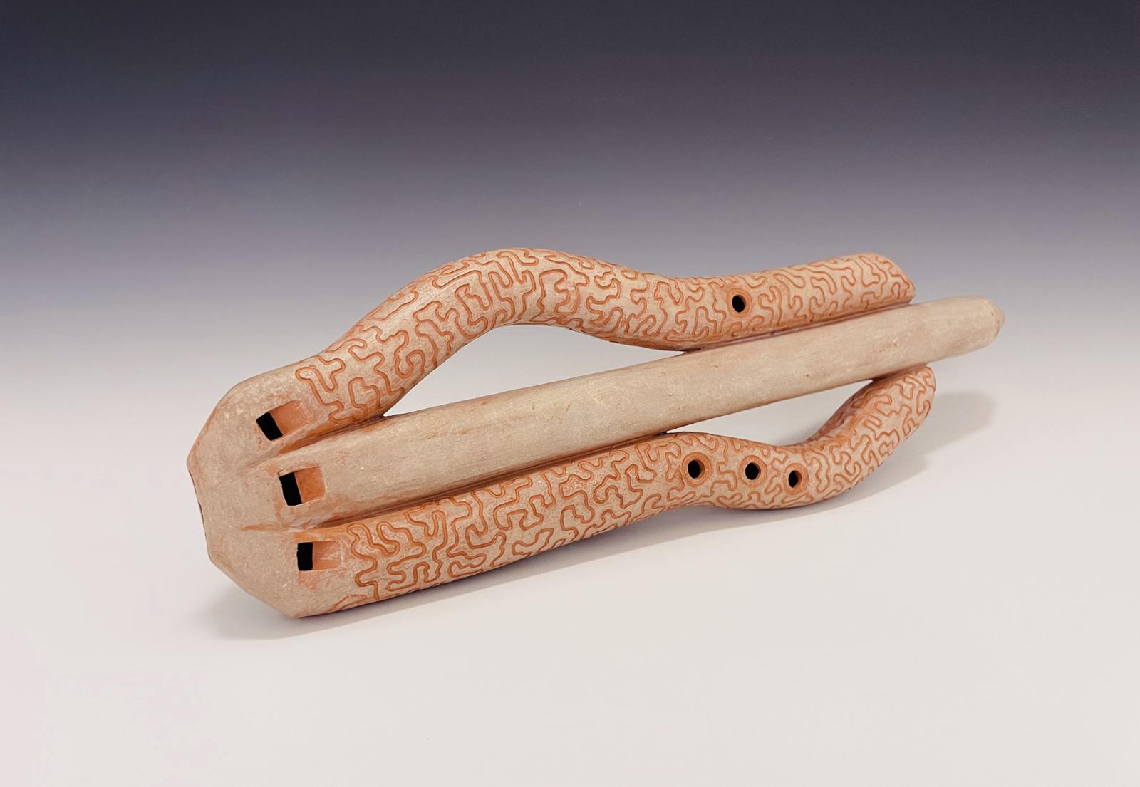 Video features a short composition I played, recorded, and produced with sounds from the instrument shown in the image, which is a hand-built triple flute.  This instrument is composed of three different tubular flutes with microtonal intuitive tuning, which can be played independently or together to create multiphonic melodies and beat frequencies. 

The instrument is inspired by ancient multiple flutes of Central and South America, and the design recalls the intricate, puzzle-like surface of Brain Coral, who I encountered at the National Aquarium shortly after relocating to Baltimore.