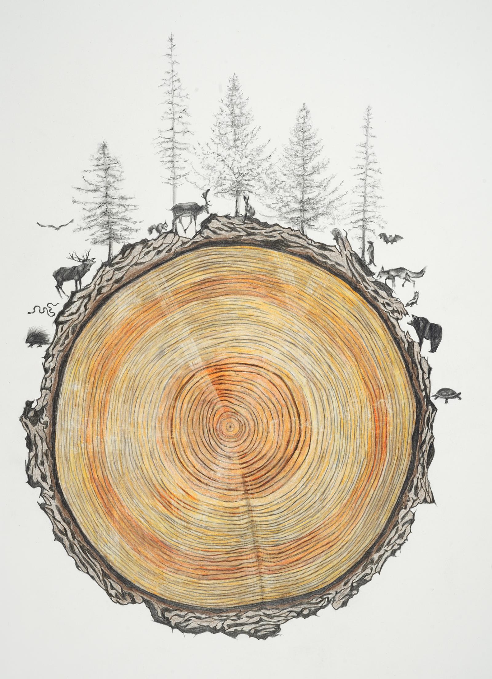 Family Tree
