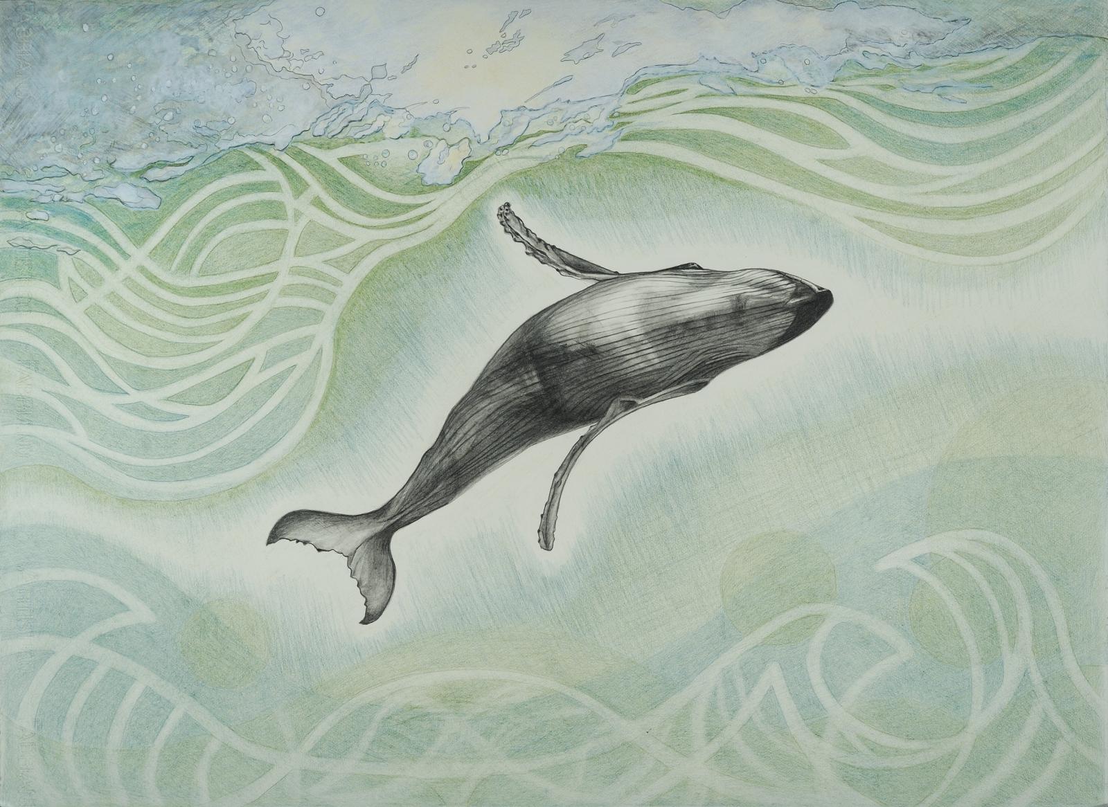 Whale 1