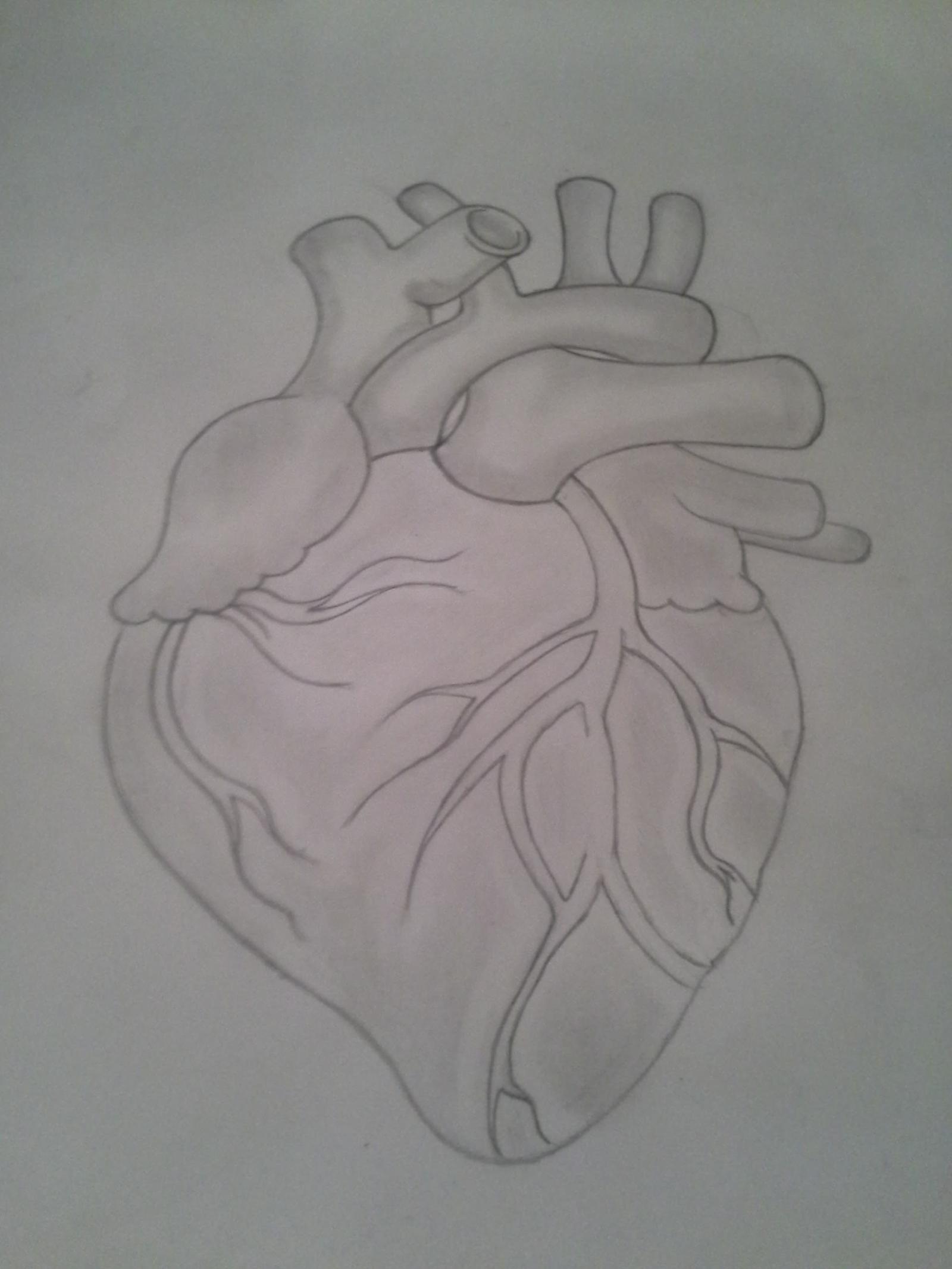 A human heart .. abstract sketch work
