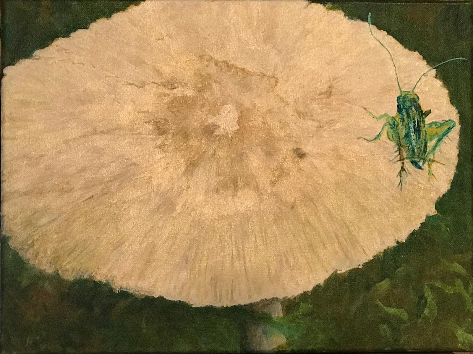 Acrylic painting of a grasshopper, insect, sitting on a mushroom