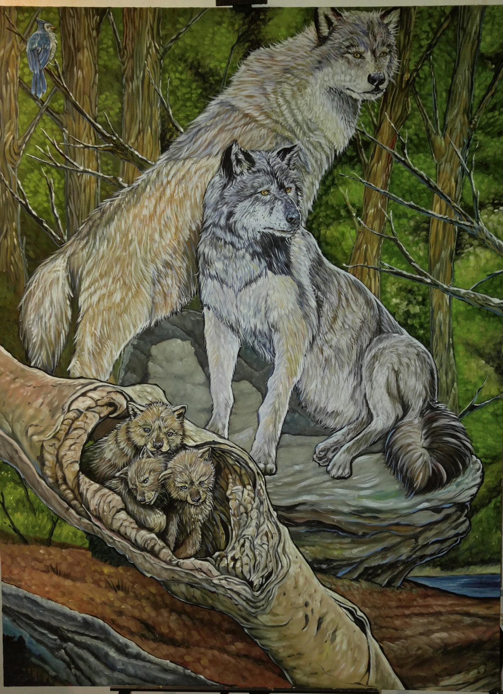 Beautiful hand painted oil on canvas of wolf parents over seeing and protecting their young as they play in an old log.