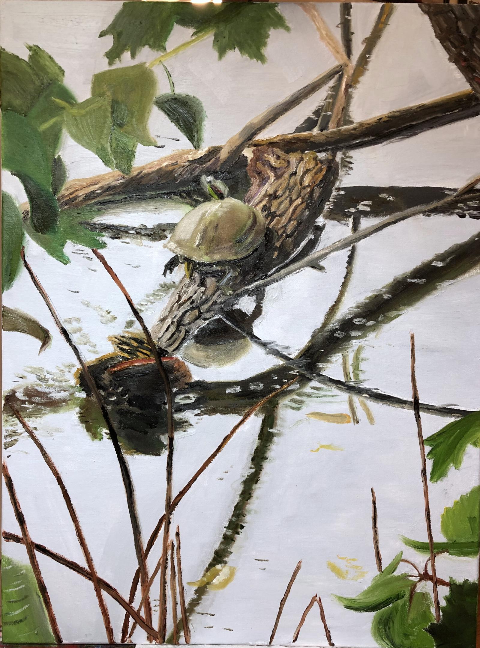 A turtle is resting on a log in a lake reflecting a white clouded sky.