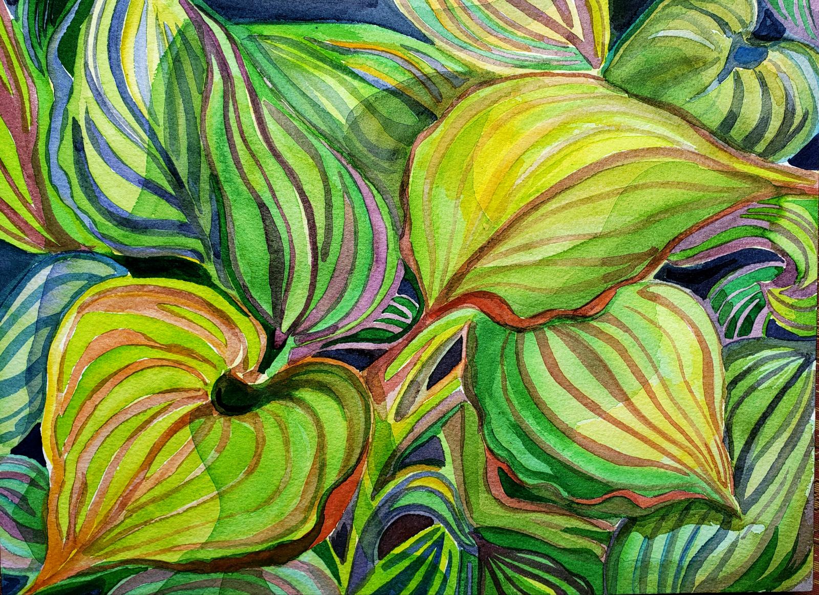 Watercolor painting of Hostas. 