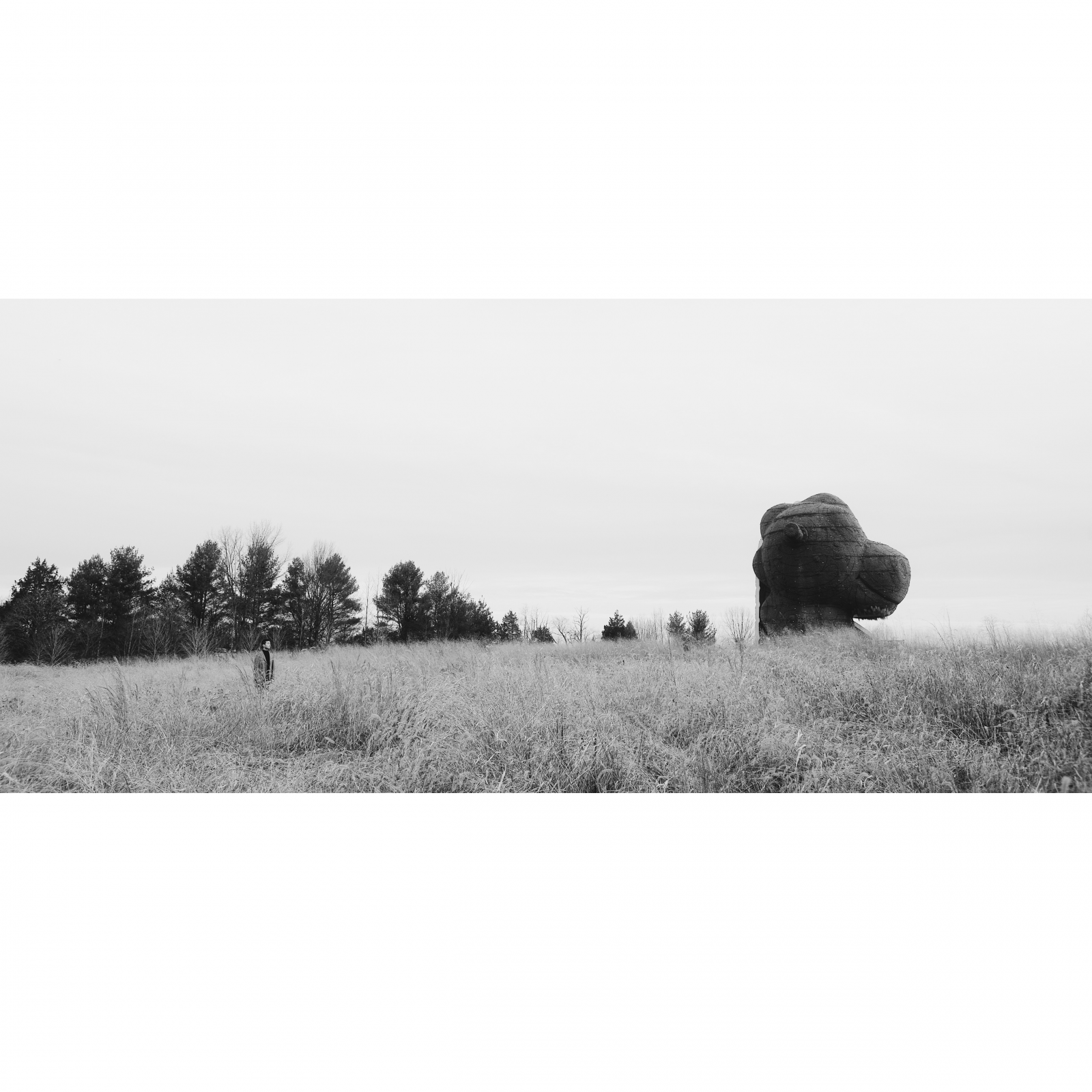 Analog photography.
