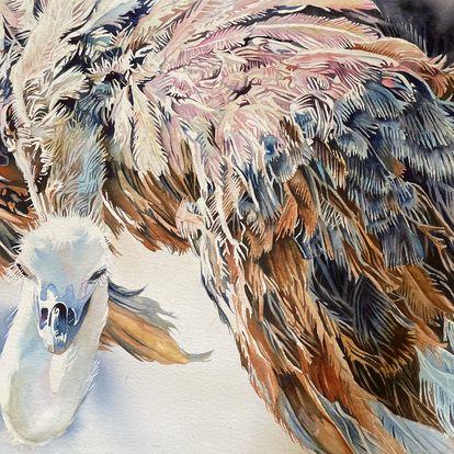Watercolor on cold pressed paper