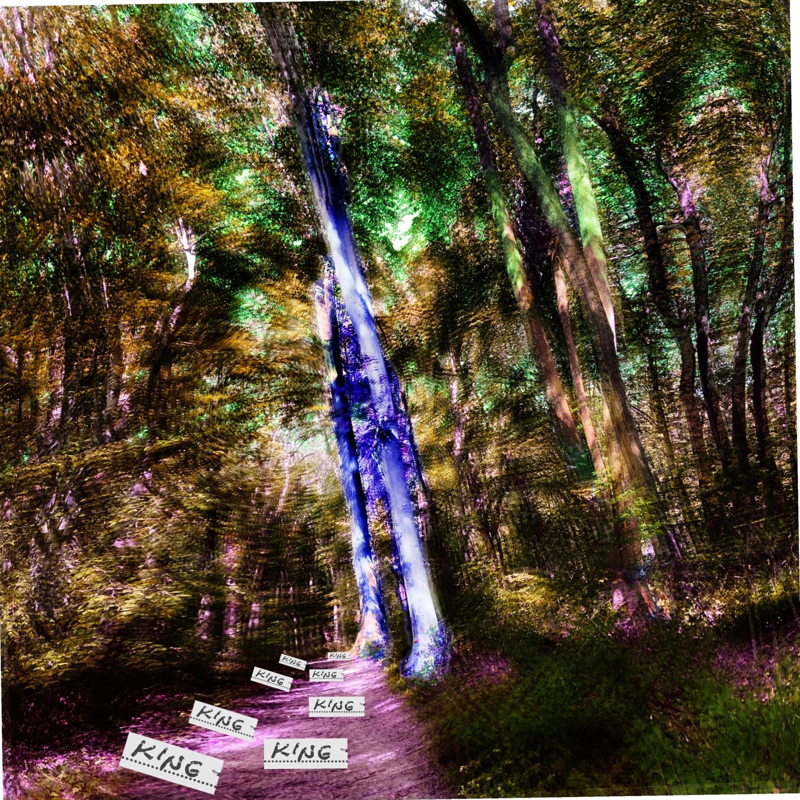 Artwork, created digitally and featuring the word KING repeated on the image.