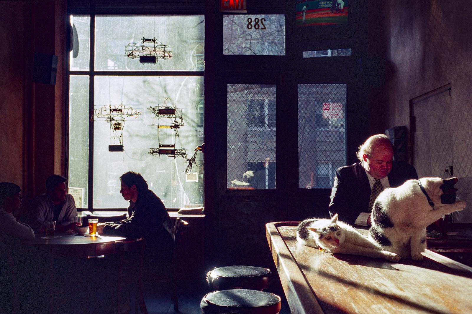 35mm Film