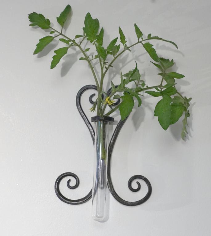 Forged steel wall mounted vase using a test tube to hold water.