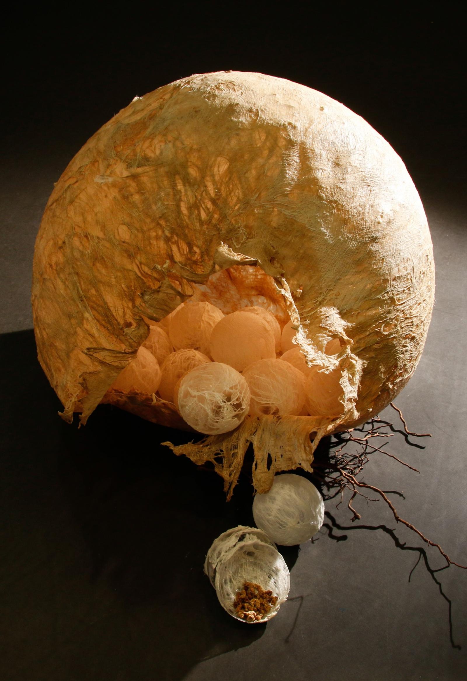 Artist's response to evolution of species.
