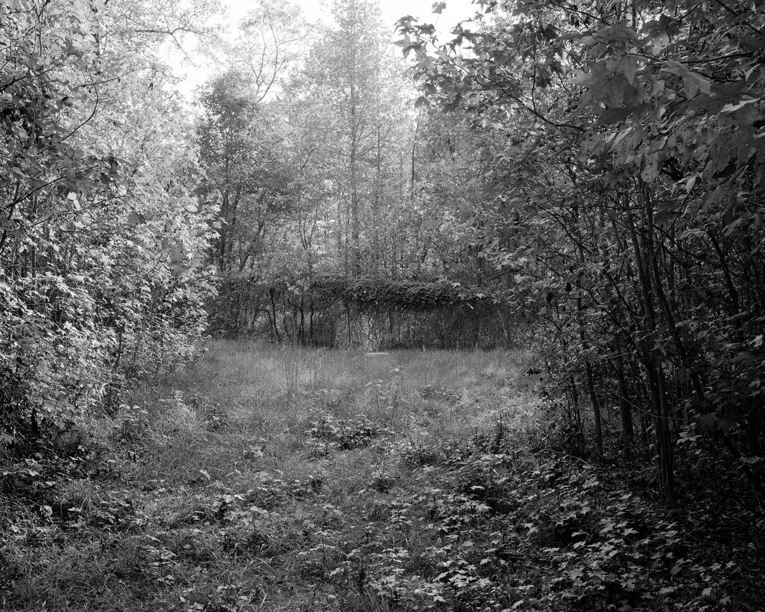 From the series "Sleepwalk"