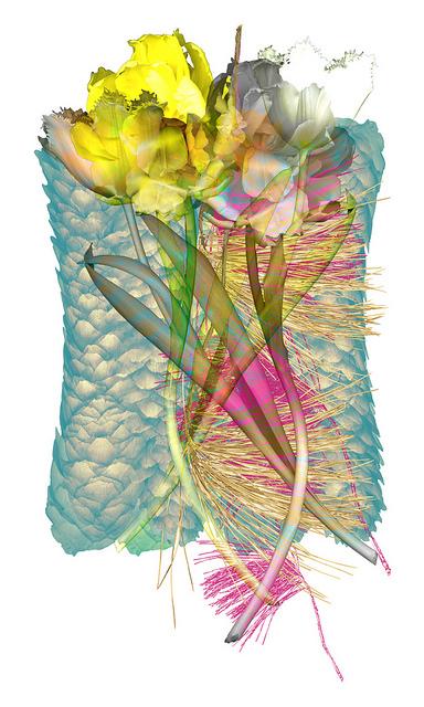 This image comes from a pure love of natural elements in my environment. By featuring these rather small elements very large, I draw importance to the everyday. This image is composed using super high resolution scans. This image is made up of 3 scans. I use the scanner as a camera.