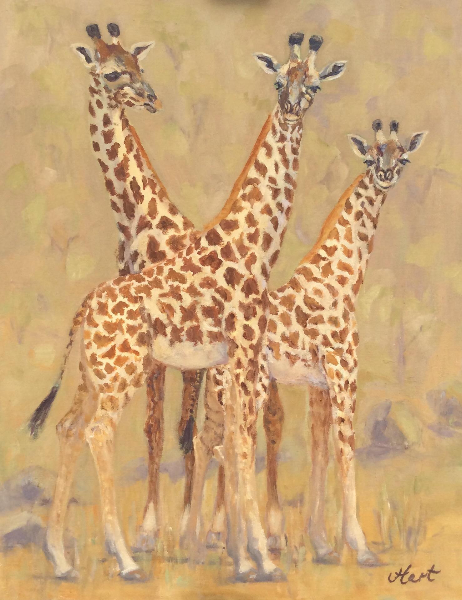 A Family of Giraffes, Tanzania