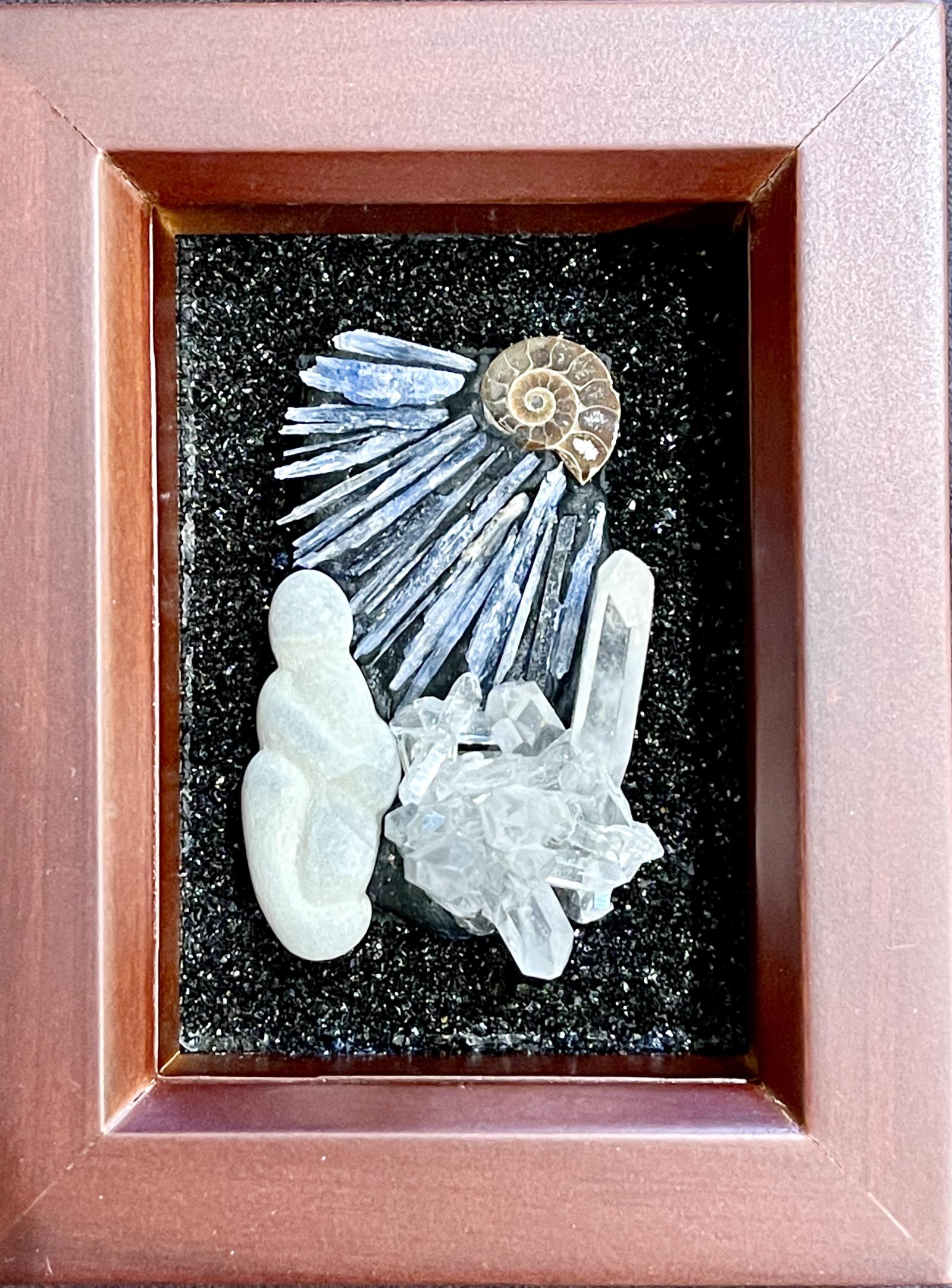  Walnut Frame. Goddess Stone, Blue Kyanite, Fossil Ammonite, Quartz Crystal