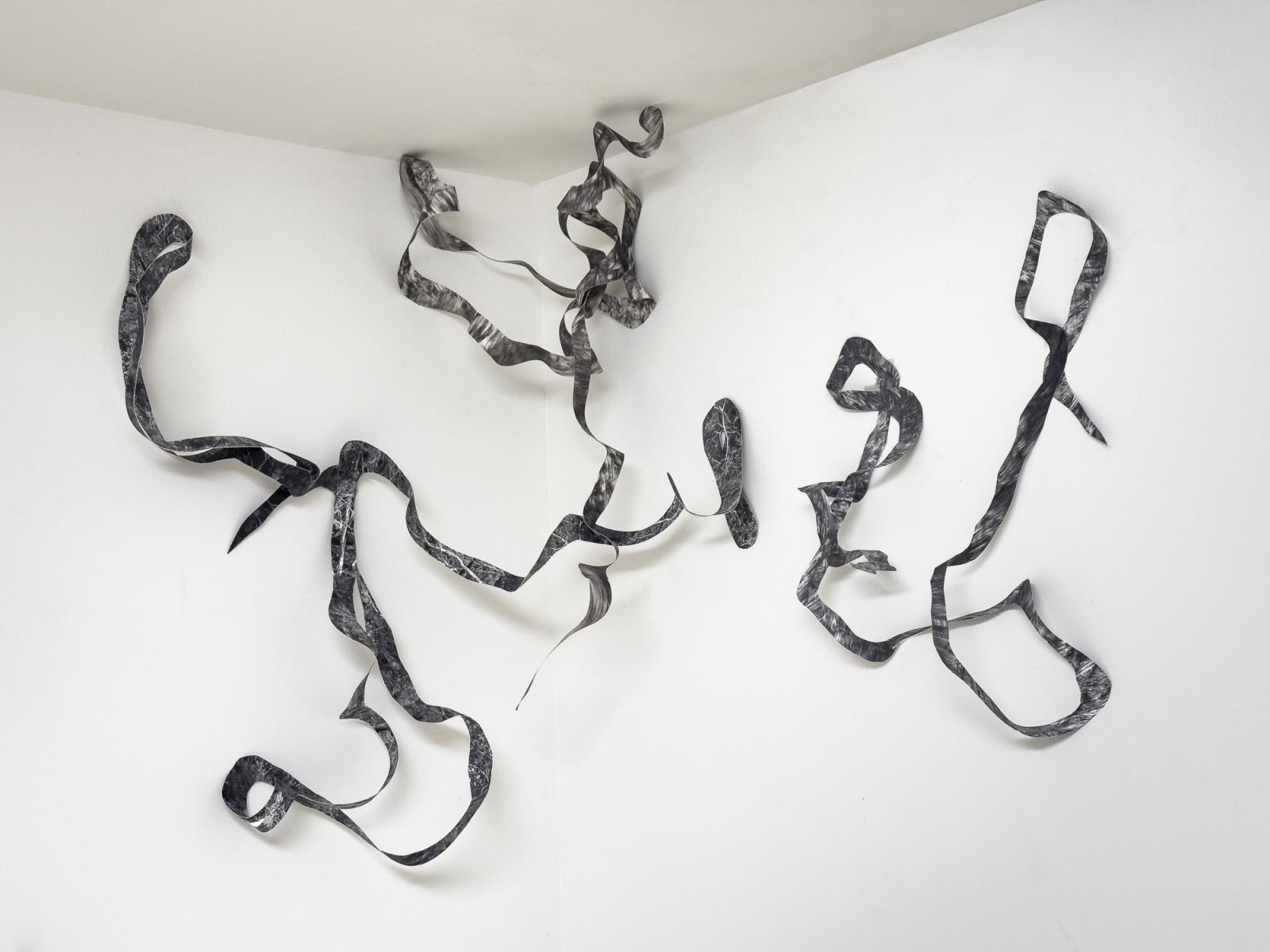 This is a photograph of trees on a property that was about to be developed. The image was printed on double sided canvas, and then torn into long strips. The strips are draped along walls and protrude onto floors and ceilings. These disassembled photographs cannot be reconstructed, just as a forest that has been demolished cannot be recreated.