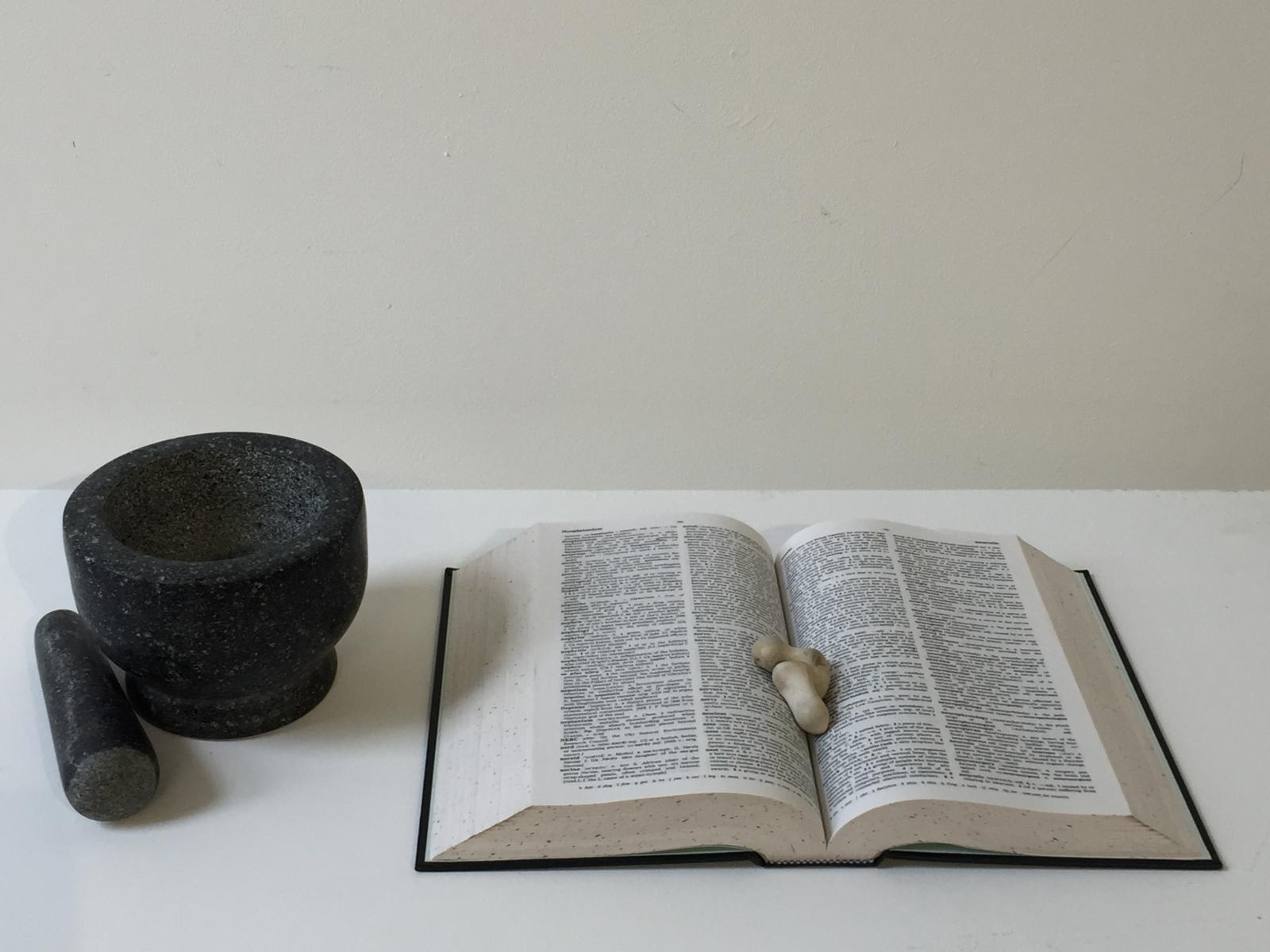A series of assemblages arising from an ongoing enquiry into Britain’s Jurassic Coast – from the promontory of Portland in the east, along the 18 mile stretch of Chesil Beach, to Eype in the west.