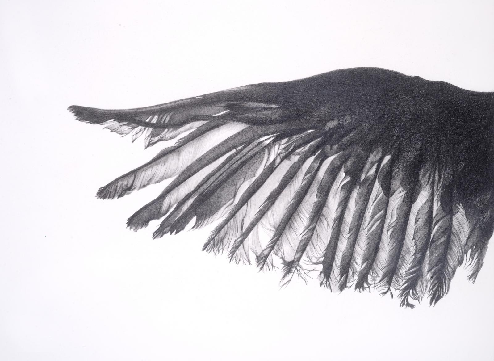 Wing (for Manon), detail