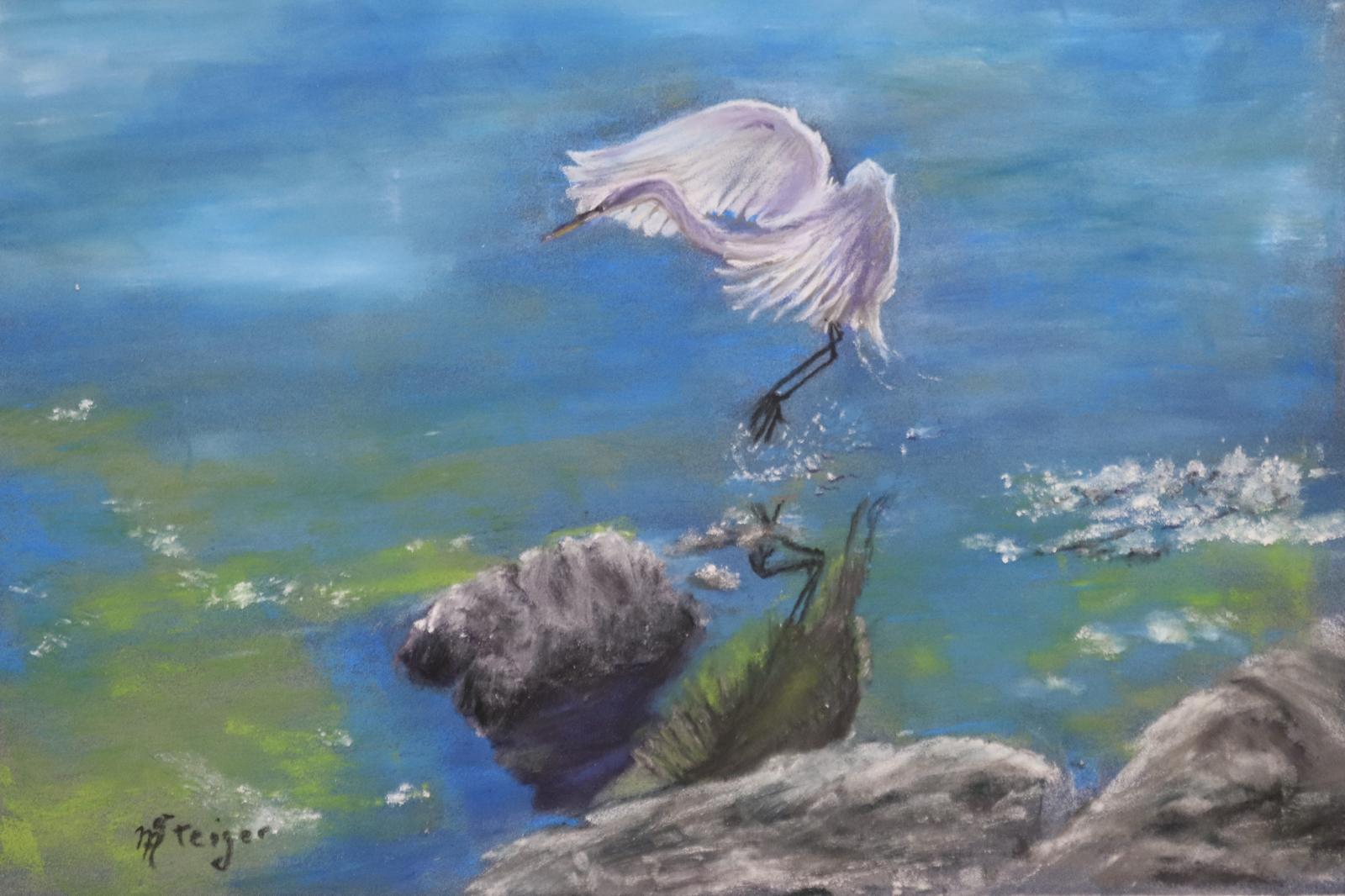 I caught several Images of this Egret and just had to create a series