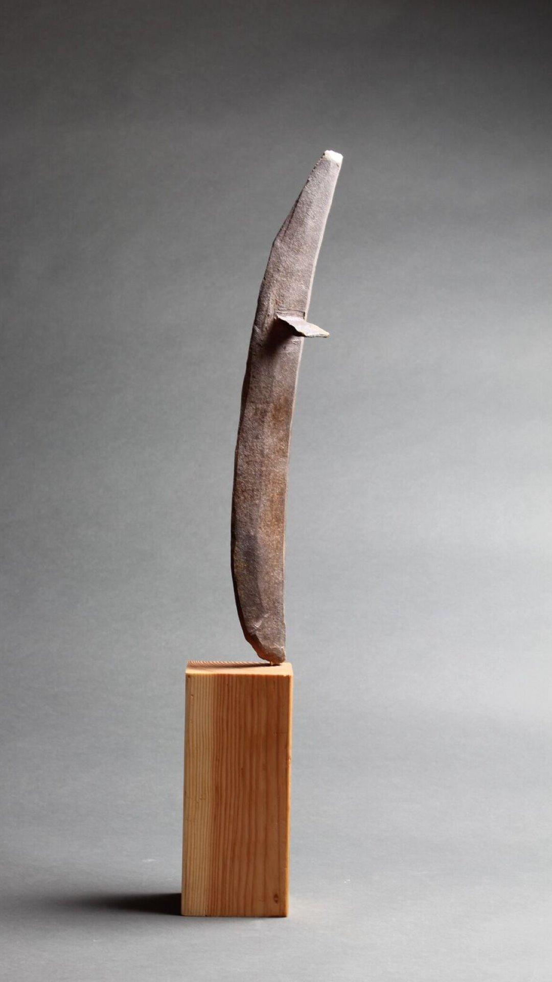 Capturing the movement of air through the shape of an airfoil.